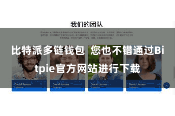 比特派多链钱包 您也不错通过Bitpie官方网站进行下载