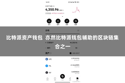 比特派资产钱包 亦然比特派钱包辅助的区块链集合之一