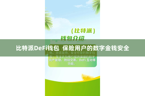 比特派DeFi钱包  保险用户的数字金钱安全