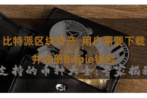 比特派区块资产 用户需要下载并注册Bitpie钱包